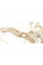 Керамограніт Geotiles Crash Beige Rect (Fam 004/Pul Rect) 60x120 см