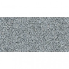 Керамограніт Golden Tile GRANIT Світло-сірий GNG940 30,7x60,7 см