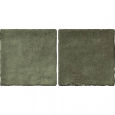 Керамограніт Almera Ceramica (Spain) Bright Salvia 10x20 см